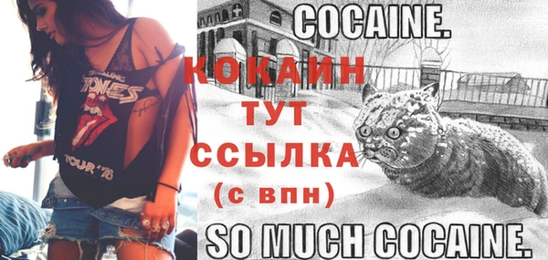 ПСИЛОЦИБИНОВЫЕ ГРИБЫ Белоозёрский