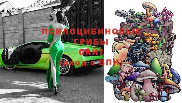 ПСИЛОЦИБИНОВЫЕ ГРИБЫ Белоозёрский