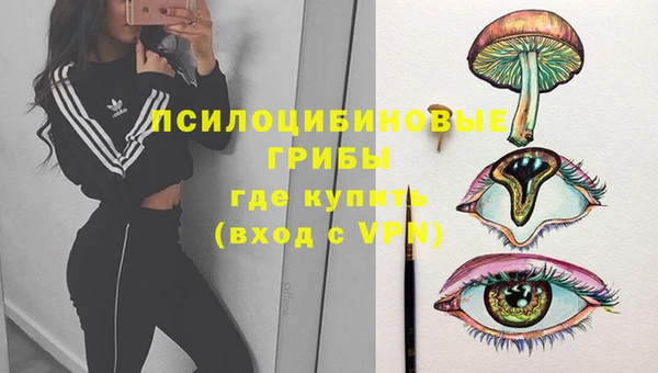 ПСИЛОЦИБИНОВЫЕ ГРИБЫ Белоозёрский